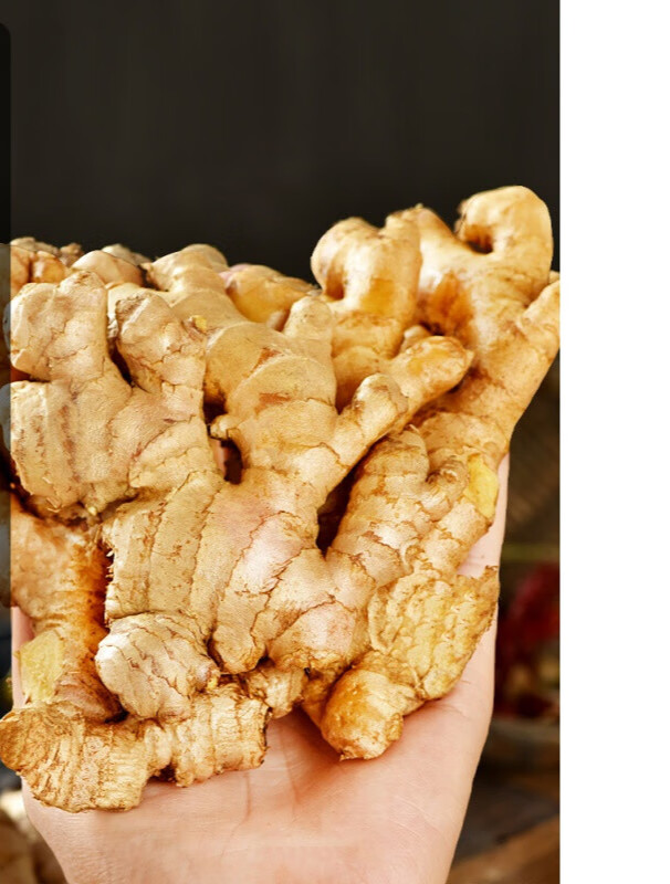 预售云南罗平小黄姜5斤新鲜生姜现挖沙姜小黄姜老姜土姜月子姜10500g