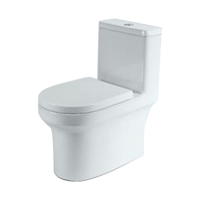 贝朗bravat连体马桶座便器虹吸式双档节水马桶c21273w400坑距