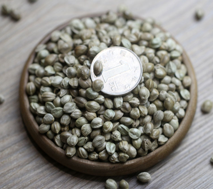 橙伯乐天水熟麻子食用甘肃特产500g新货特大粒生火麻休闲零食香麻籽