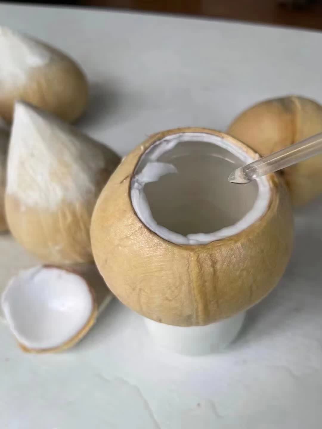 媚调顺丰速运 三亚牛奶香椰子海南小奶椰芋奶香浓郁新鲜水果椰皇 10个