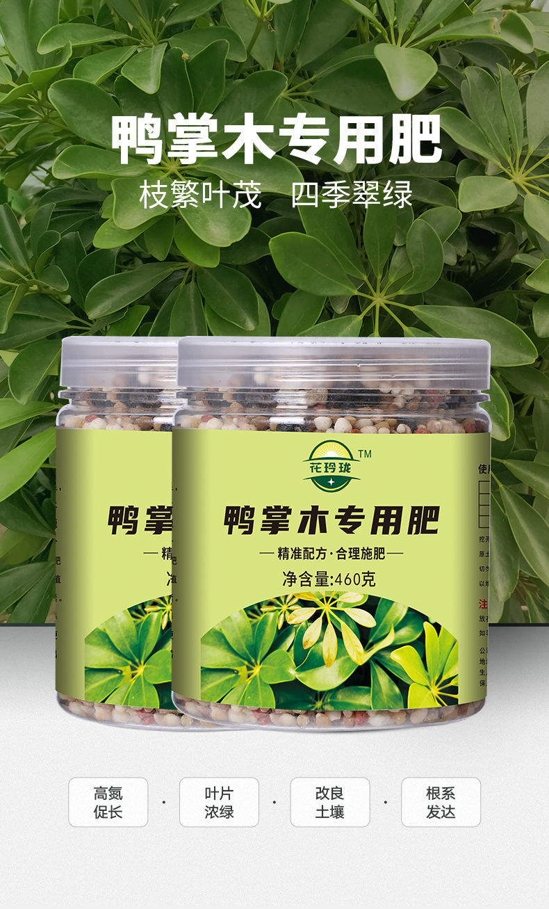鸭掌木肥料专用肥室内室外鹅掌柴鸭爪木固体营养液颗粒肥绿叶盆景碧