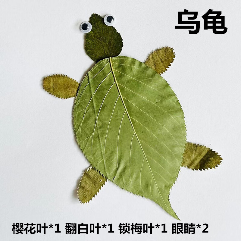 标本真树叶干花手工贴画成品小学生幼儿园diy材料包动物植物标本 大象