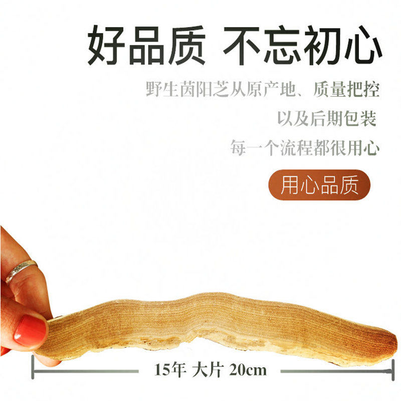 茵阳芝茵阳芝小片官网茵阳灵芝袋装500克