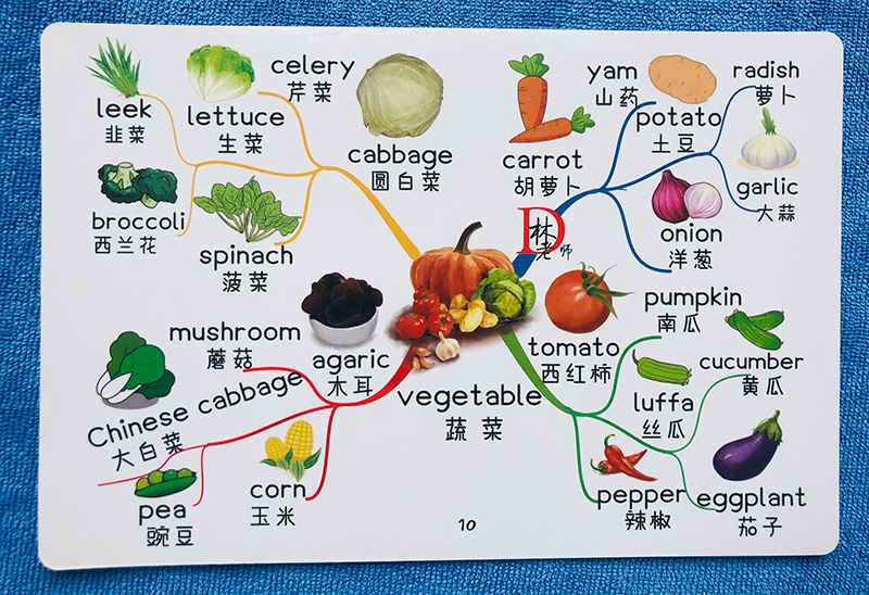 小学人教版3年级起点英语单词分类卡片思维导图速记小学3年级4年级5