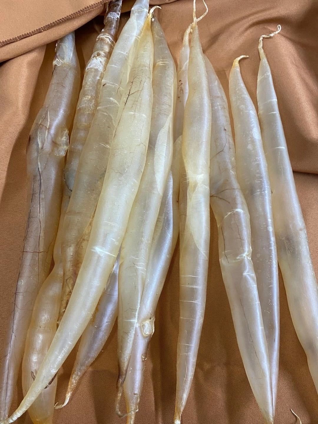 官方旗舰野生鱼胶干货鳗鱼胶麻鱼胶深海鳝鱼肚厚肉鳗鱼肚月子滋补100g