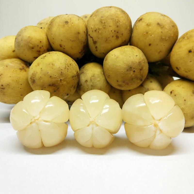 木奶果龙宫果西双版纳热带罕见稀有水果孕妇水果1斤顺丰直达 1斤尝鲜