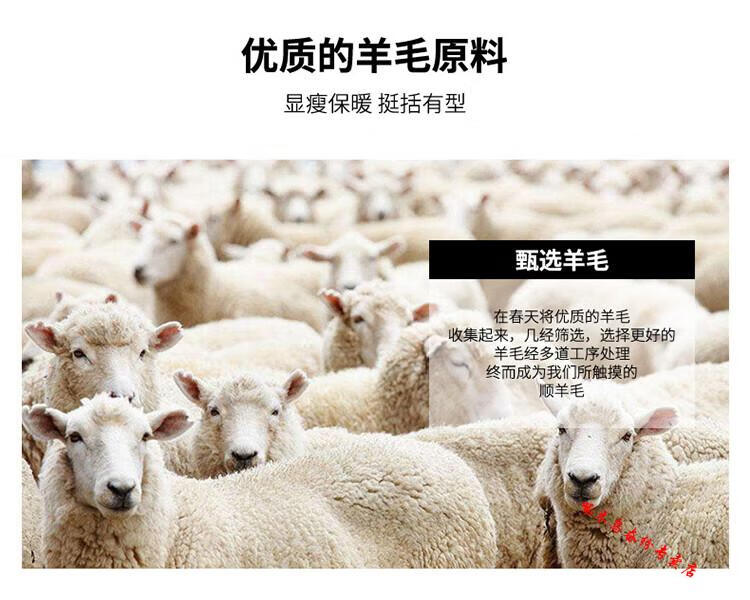 74aa119f3a347bfb.jpg