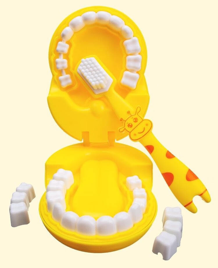 牙齿模型玩具假牙模型模具牙齿模型幼儿园儿童牙齿模型玩具刷牙教具小