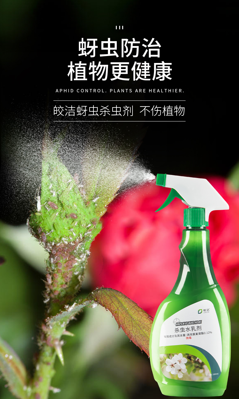 悦佳净 蚜虫杀虫剂 月季花专用药 花卉植物 灭杀 治蔷薇花草蚜虫 去除