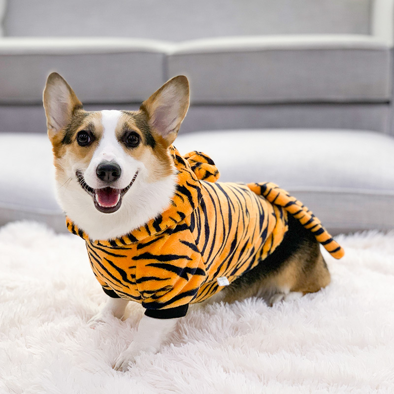 innopet 柯基犬衣服狗狗秋冬服装加厚防掉毛小型中型犬冬天保暖宠物