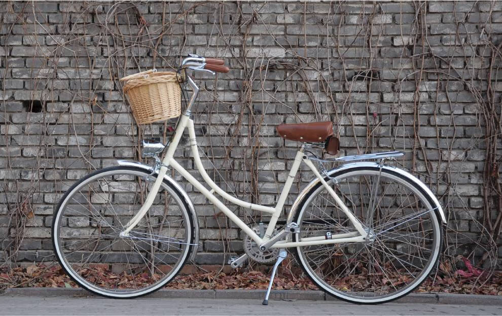 荷兰自行车savorello飒骆26寸荷兰复古城市女士内三速自行车羚羊通勤