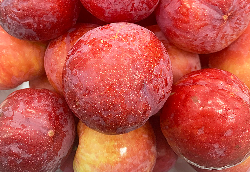 青樱红荔智利脆红李新鲜李子鲜果黄肉红布林孕妇酸李子恐龙蛋新鲜水果