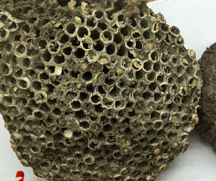 伟博 北京 露蜂房 蜂房 马蜂窝 野蜂房 100g【图片 价格 品牌 报价】