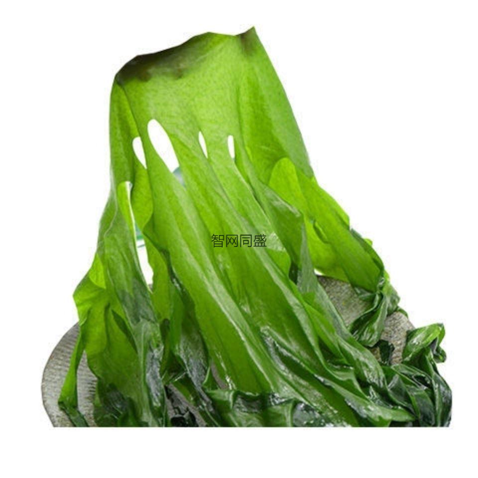 裙带火锅食材干货批发淡干无沙野生新货 出口级(整条)干裙带菜100g