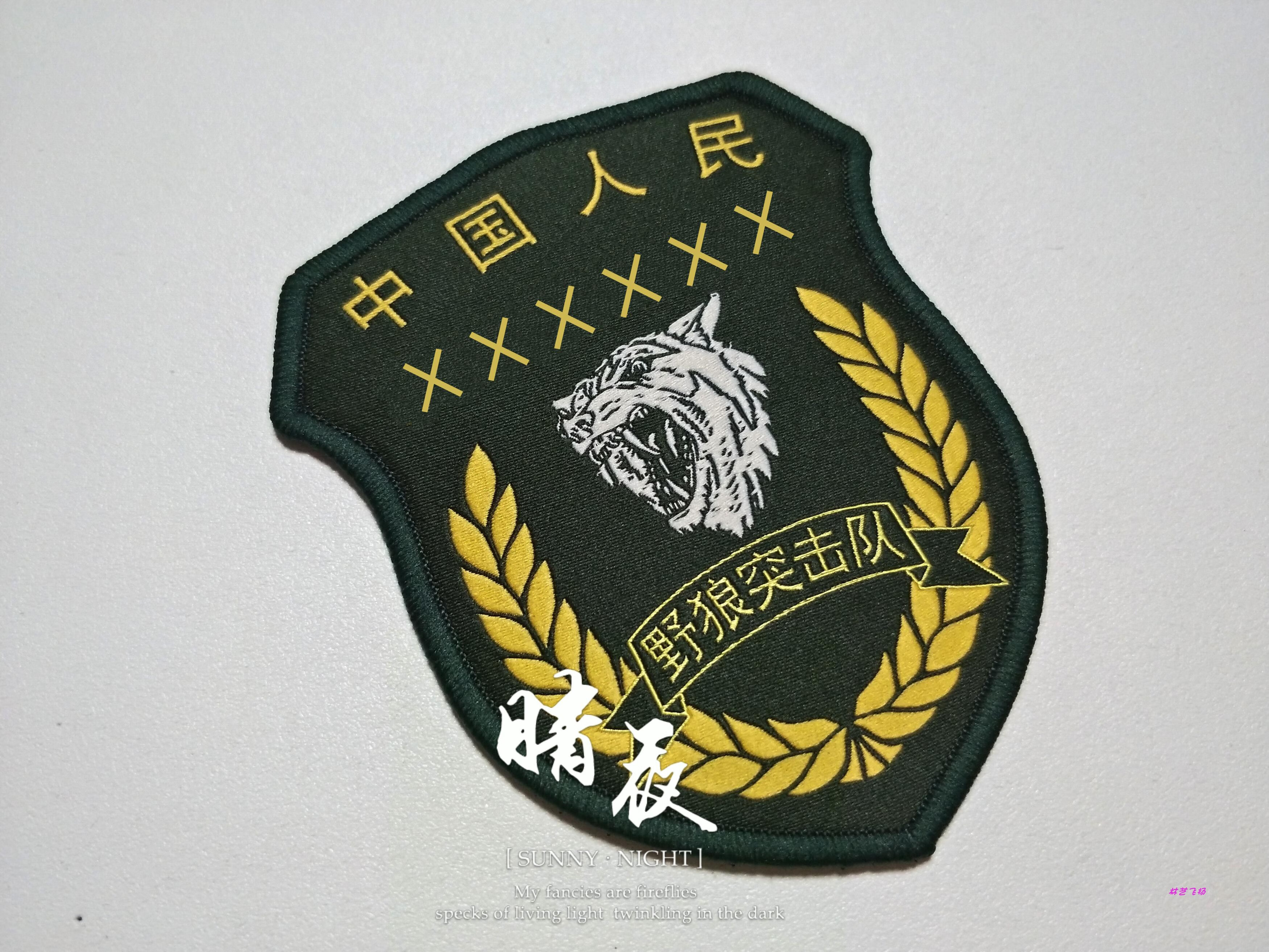 21式迷彩服臂章軍迷藏現貨迷彩服魔術貼戰隊臂章粘貼臂貼標徽章 嶺南