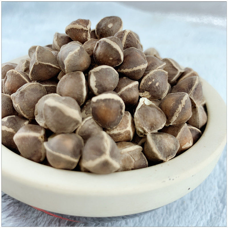 辣木籽食用大颗粒云南辣木子粉大果辣木籽500克