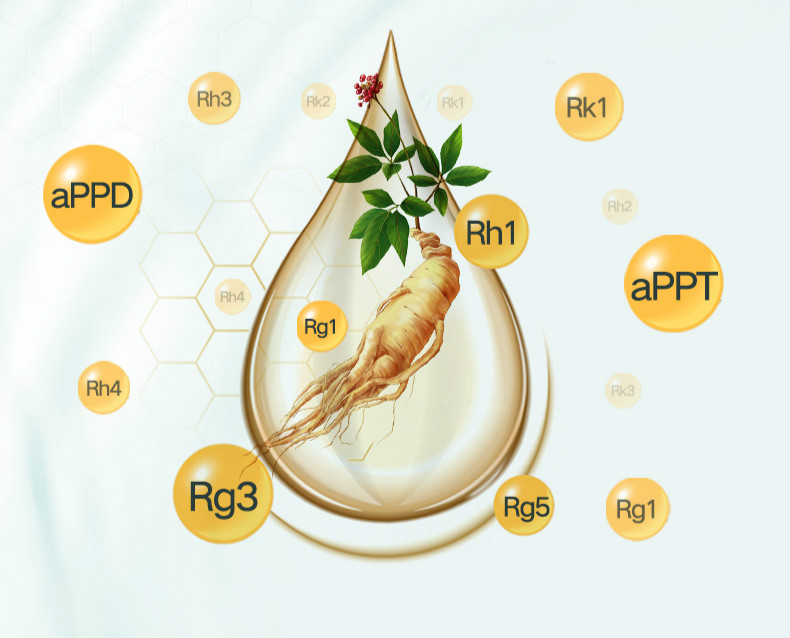 onstin美国进口高度16种稀有人参皂苷西洋参片rg3rh2术后营养品 2月量
