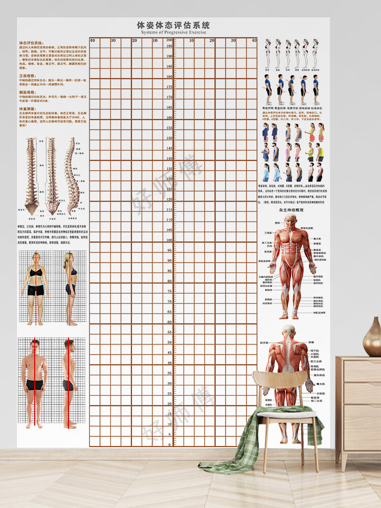 现货体态评估图瑜伽 体姿体态评估系统中医理疗馆脊椎姿势对比图 蓝宽