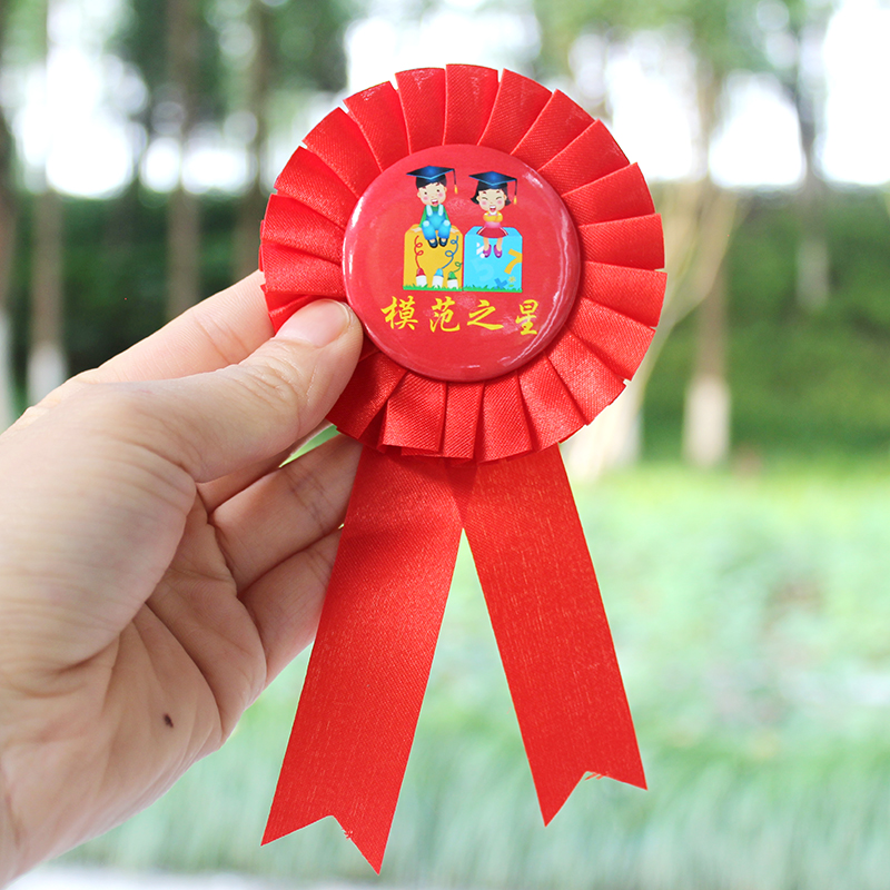 小学生开学季奖品幼儿园老师表彰红色小红花胸花激励励志学霸礼物