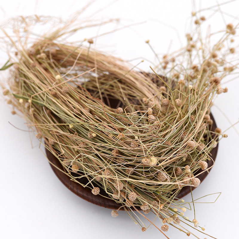 谷精草500克g中药材戴星文星挖耳朵珍珠草天星草佛顶【图片 价格 品牌