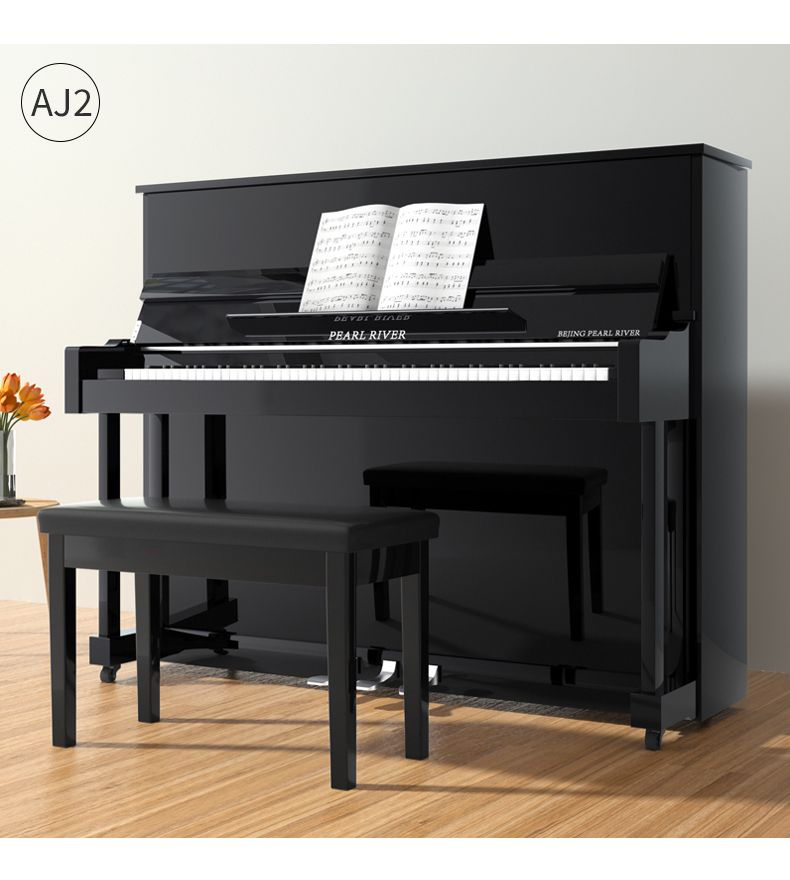 珠江钢琴(pearl river)北方专用 - 京珠高档家用立式钢琴德国进口配置