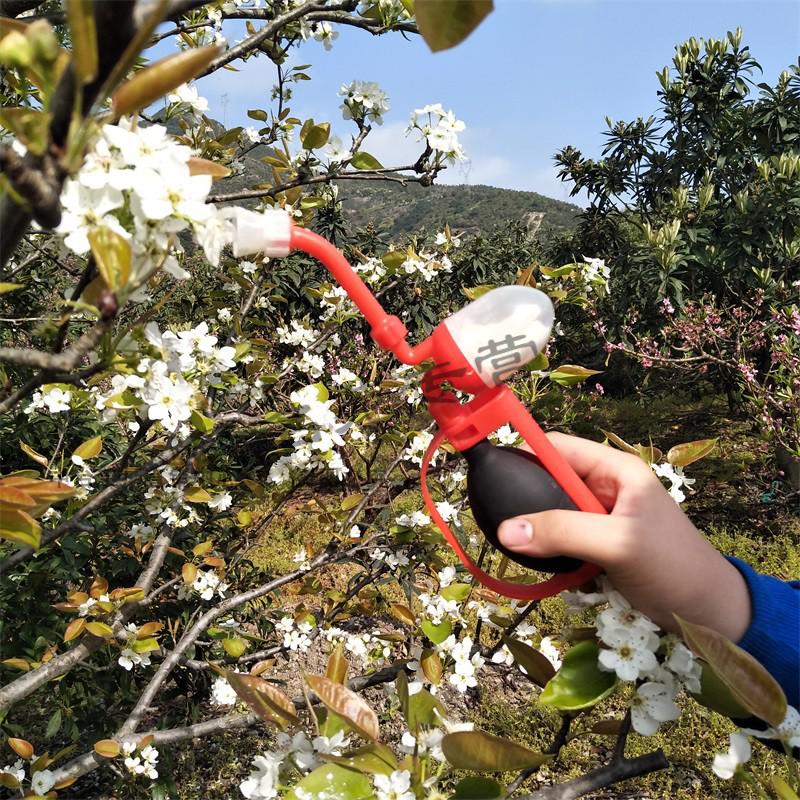 花粉授粉器桃树梨树果树杆式干粉授粉器蕃茄授粉器 大号授粉器(无杆)