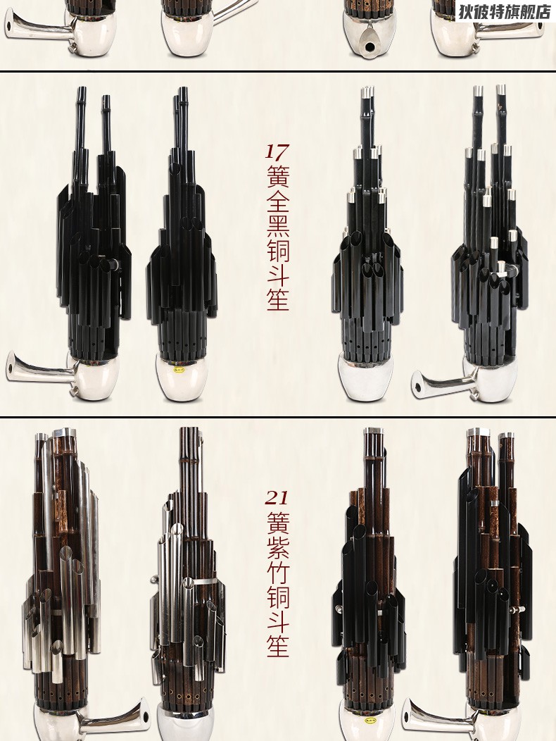 笙樂器專業初學者14簧方笙17簧21簧圓笙降b降ced調初學笙樂器 14簧