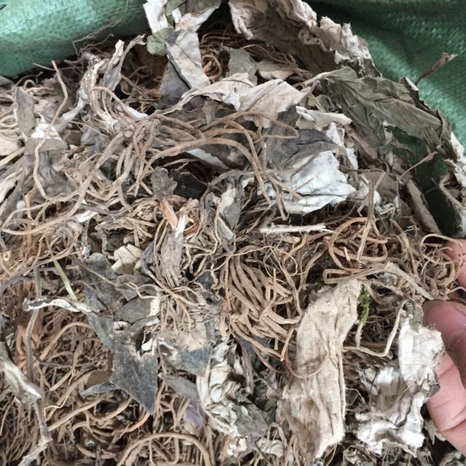 伟博中药材兔儿风草杏香兔儿风金边兔耳风草一柱香500克如图