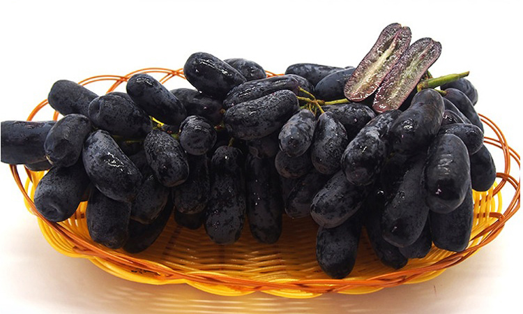 澳洲金手指黑提无籽提子葡萄长型美人指新鲜水果2斤2斤