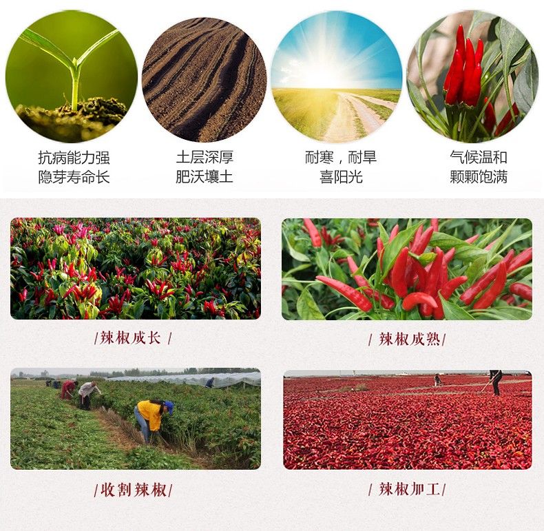 干辣椒特辣小米椒印度椒辣椒面辣椒段火锅料辣椒250g多规格特辣干辣椒