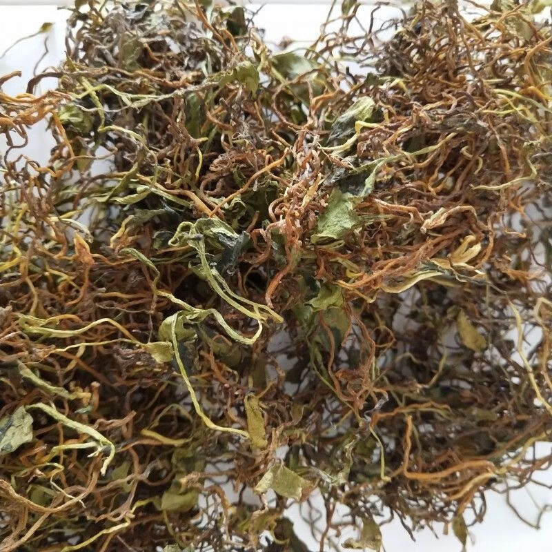 伟博100克起新鲜一支箭瓶尔小草青藤新鲜一支箭蛇舌草三两新鲜