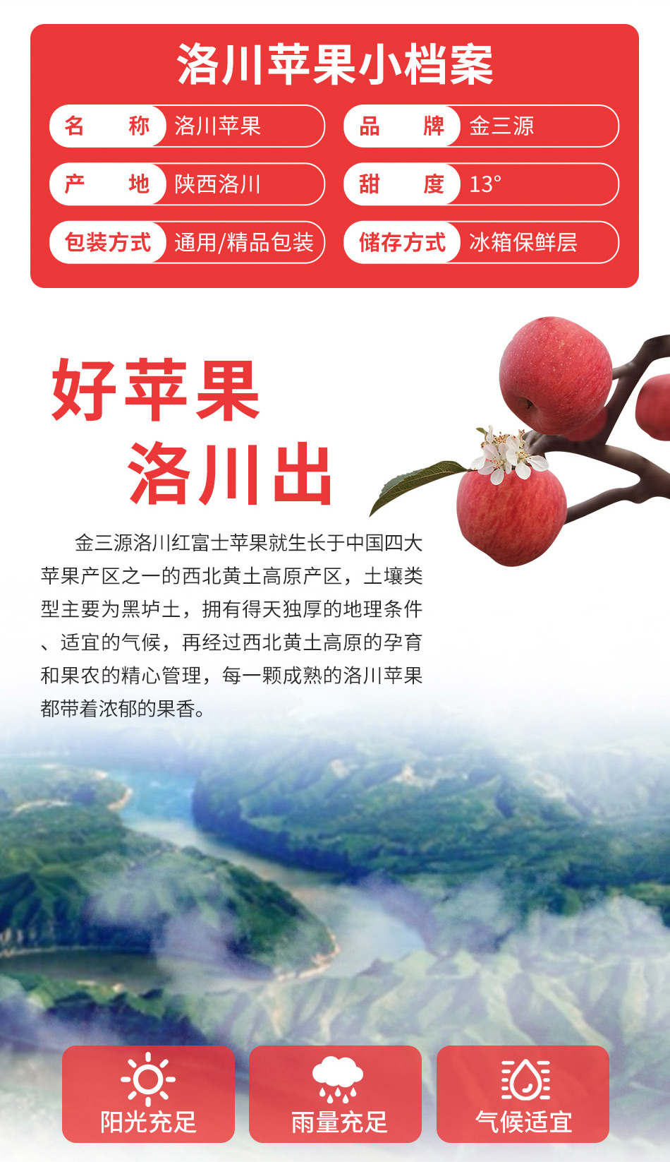 54330-金三源正宗洛川红富士苹果 大果整箱 时令生鲜水果 富含蛋白质膳食纤维素是健康低脂健身好食材 8颗轻享礼盒装(80mm-85mm果 约4斤)-详情图