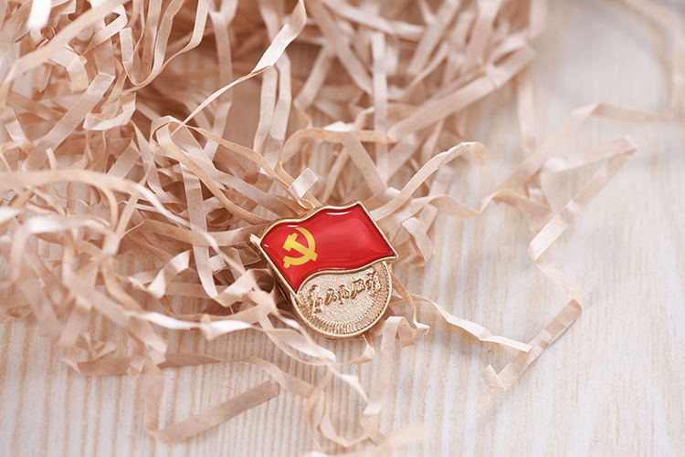 左一仁2020年新款党徽礼盒装标准型别针式磁铁款为人民服务徽章党员