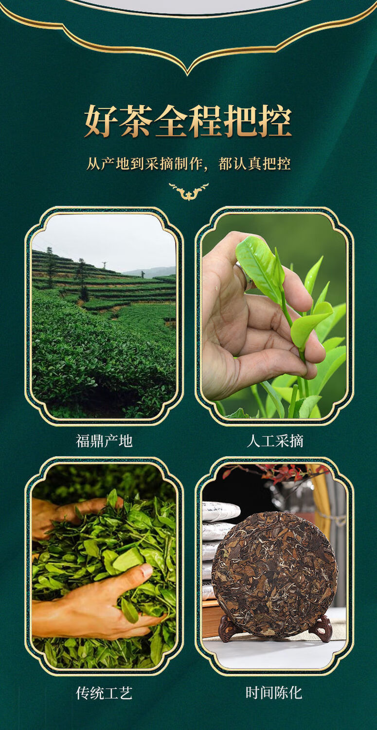 正宗福鼎白茶高山寿眉陈年老白茶饼茶叶350克【买五一】 2017年老白茶