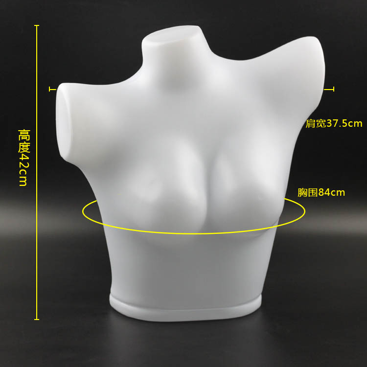 生态家居同款瑞贝特塑料内衣模道具女男半身文胸假人柜台展示架拍照