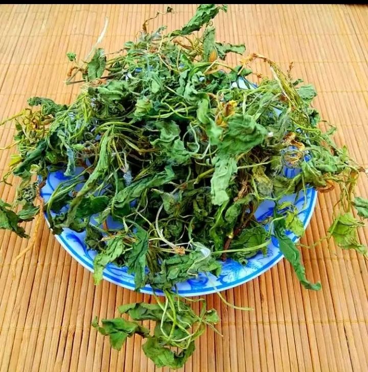 北·京同仁·堂华兜草 四川华兜草药材 紫花地丁500克现挖现发【精选