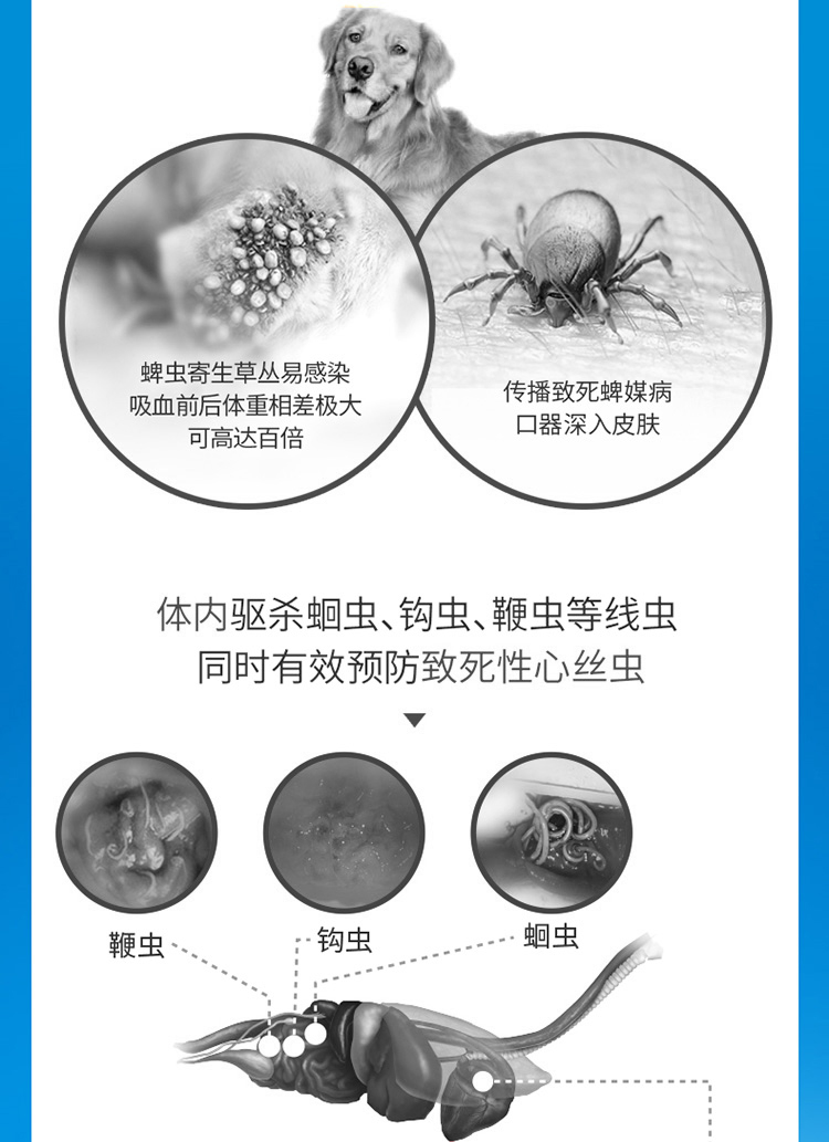 3，超可信敺蟲葯躰內外同敺比熊泰迪金毛大型犬小型犬狗狗跳蚤蜱蟲蟎蟲蛔蟲葯 30-60kg犬XL號丨整盒3片