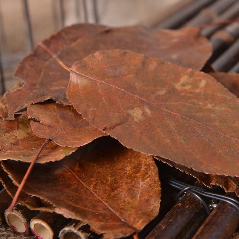 新货山楂叶中药材天然野生山楂叶山楂叶子茶泡水养生山楂叶茶 山楂叶