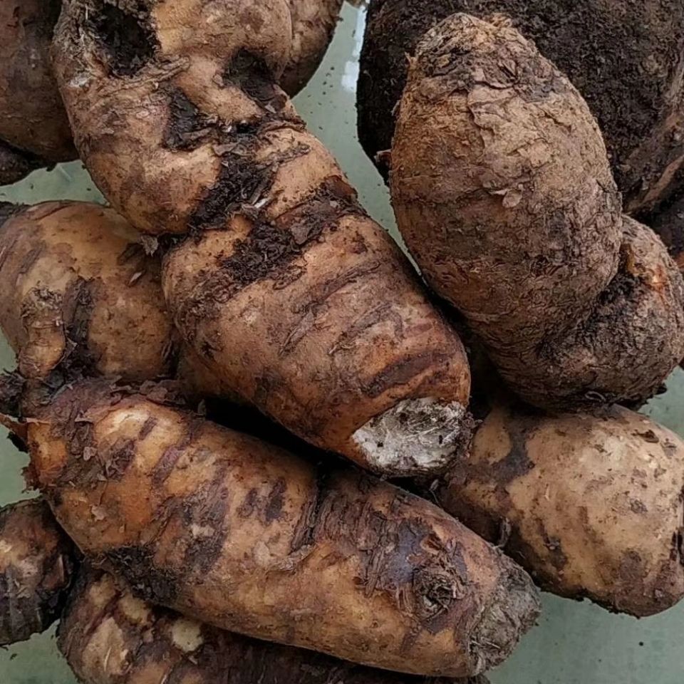 贵州省野生新鲜白首乌中草药材白人参牛皮消飞来鹤隔山消500g更多参数