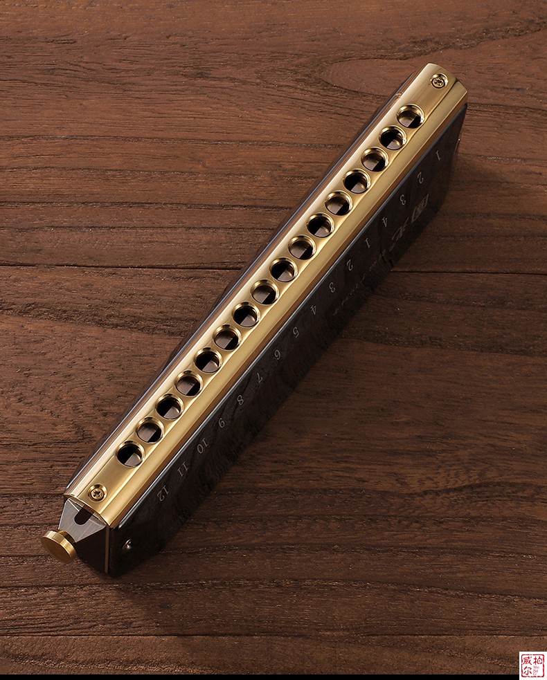 国光半音阶口琴12孔16 孔专业演奏级学生初学者自学入 雅典黑【国之梦
