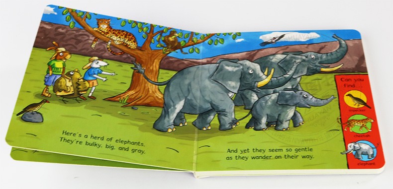 英文原版绘本 神奇动物冒险 amazing animals safari adventure