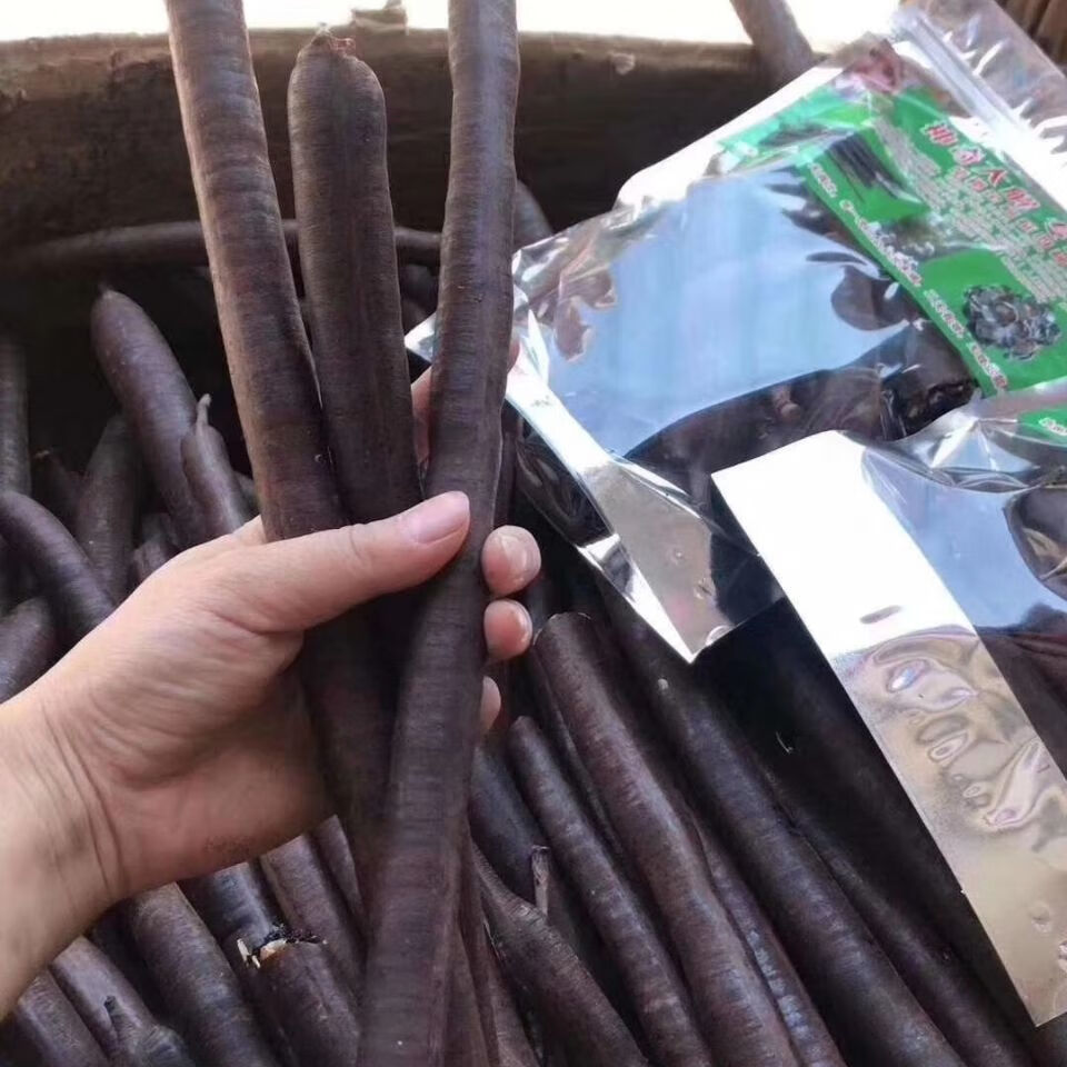 缅甸便秘果野生便秘果大解果腊肠果大便果便秘果 便秘果体验装100g