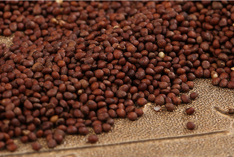 新货 东北熟苏子500g 紫苏子熟的紫苏籽 月饼馅料烙饼烧烤调料【图片