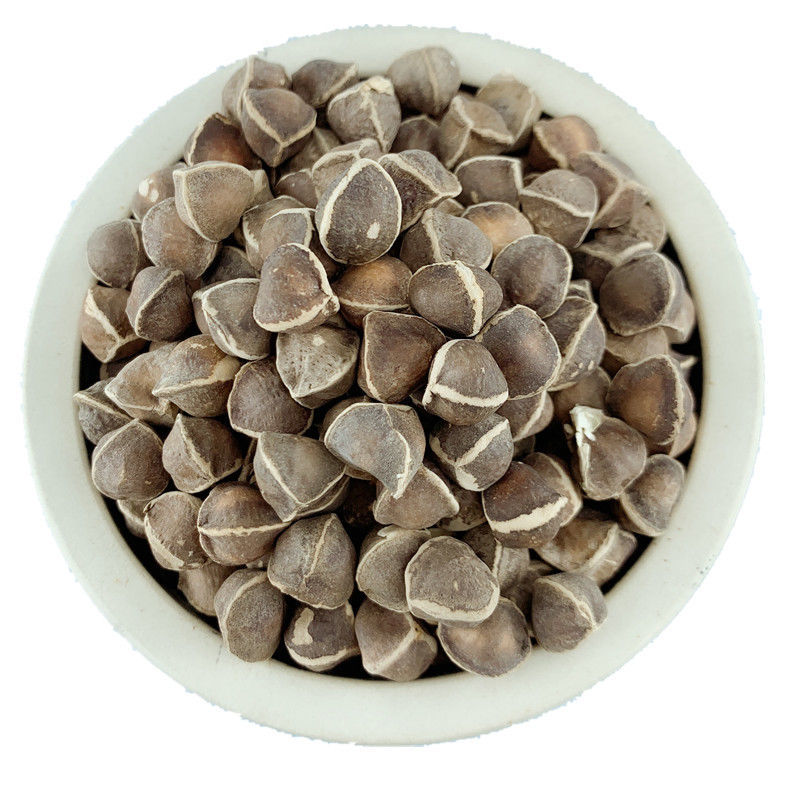 辣木籽食用大颗粒云南辣木子粉大果辣木籽500克