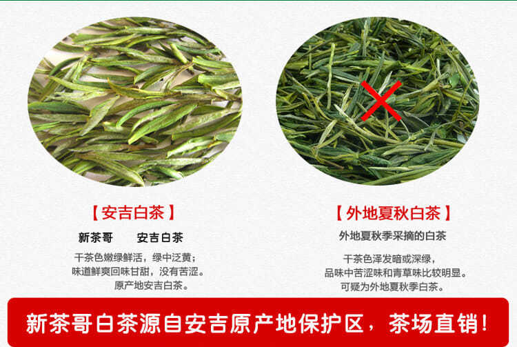 正宗安吉白茶2021新茶明前茶叶绿茶特级高山珍稀白茶125g散装春茶默认