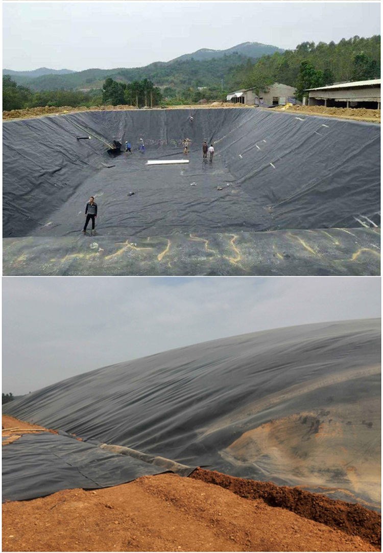 麦桑荷塑料布防水地膜薄膜地膜农用黑色防雨布油布防水防水布料防渗膜