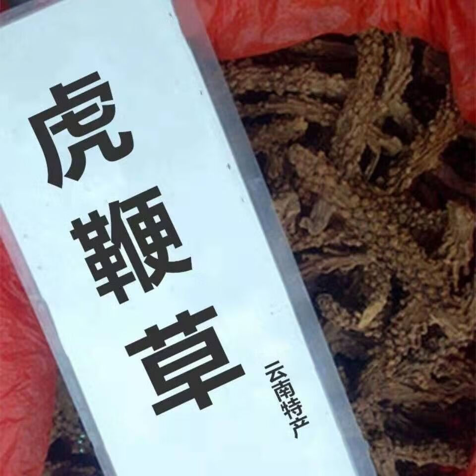 野生虎鞭草 硬茎草 云南苗药泡酒料500克-100g子孙草 虎鞭草 虎鞭草 2