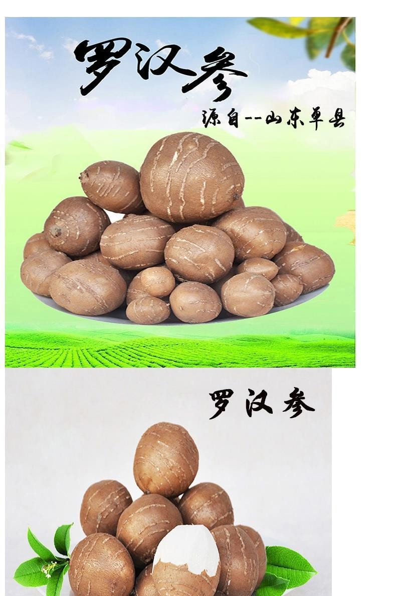 官方旗舰山东单县特产罗汉参三叶青土圞儿南通海门香芋栾儿5斤装大果