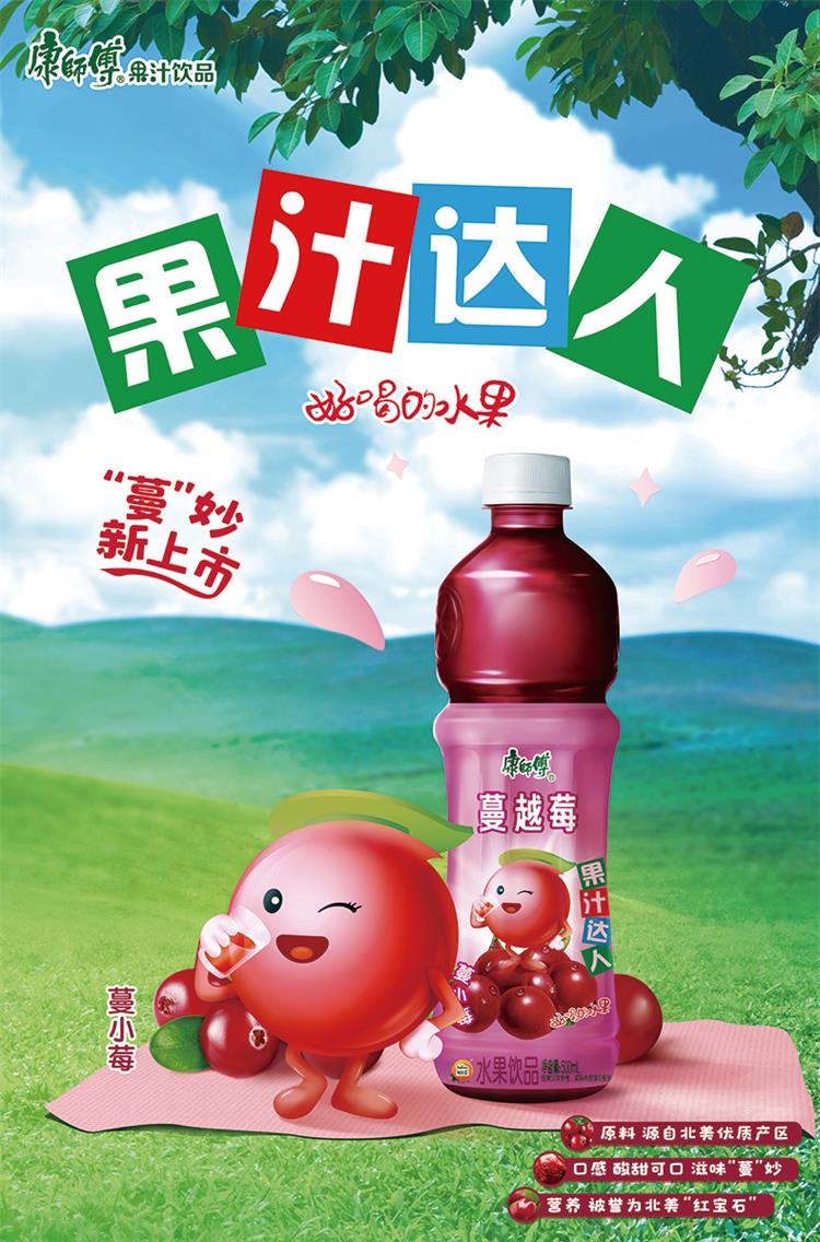 康师傅蔓越莓500ml*15【图片 价格 品牌 报价-京东