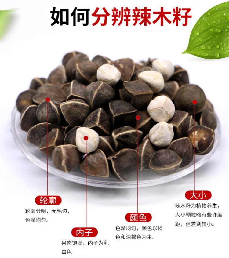 昌弘辣木籽的功效与作用敕棘纳木籽印度拉辩辣木子500g